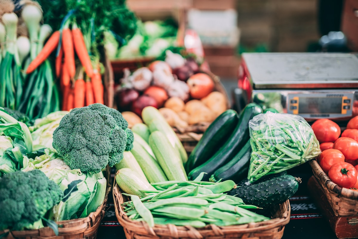 Alimentation équilibrée
